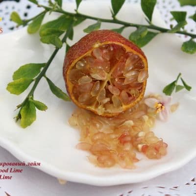 Australian Blood Lime Red Center Lime5 копия